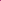 Double Click Double Violet Cosmos Seeds - Rich Purple