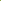 Lime Green Lisianthus Seeds
