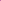 Annual Bubblegum Pink Grandiflora Petunia Seeds