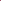 Double Deep Pink Coneflower Seeds – Echinacea purpurea
