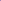 Lavender Violet Morning Glory Seeds