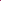 Annual Double Hot Magenta Pink Portulaca Seeds